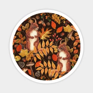 Autumn squirrels and autumnal flora on dark brown Magnet